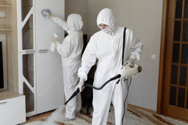 Professional Mold Removal in Athens, TX